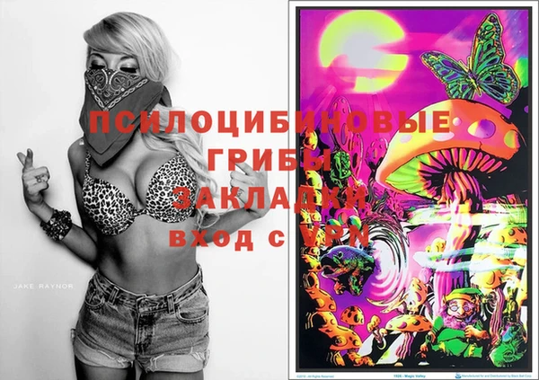таблы Козловка